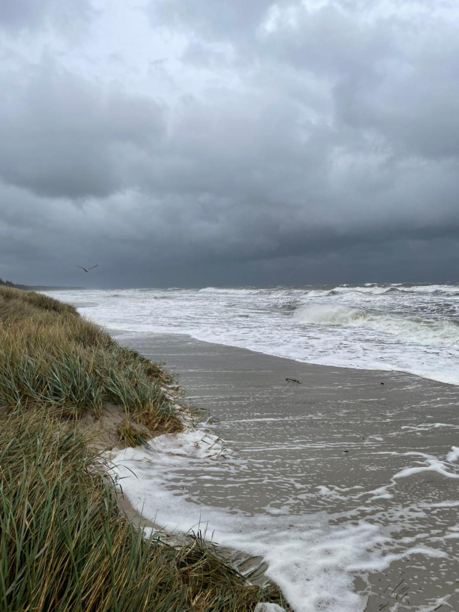 Kaptein Meyer * Ostseeheilbad Zingst