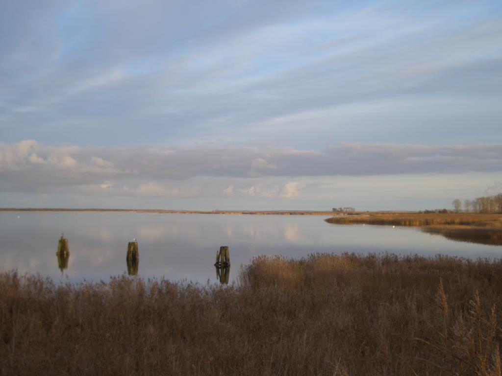 Kaptein Meyer * Zingst
